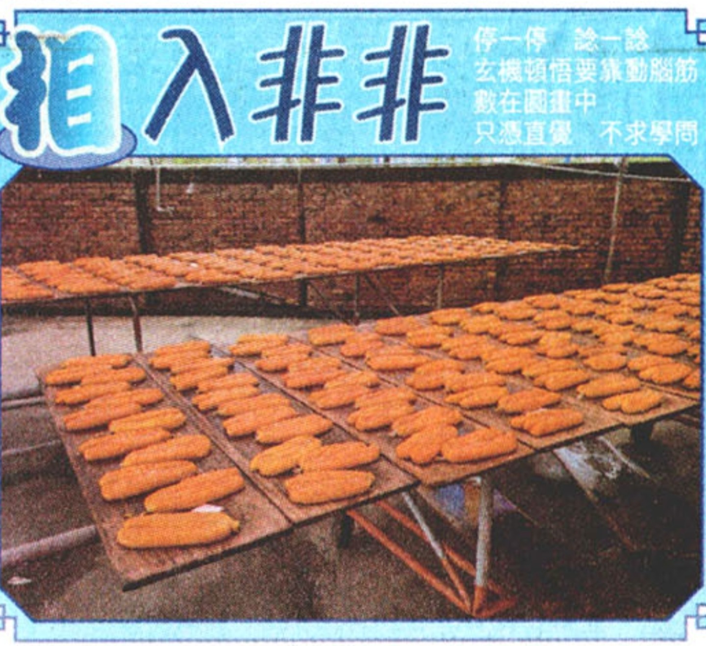 1000085817.jpg