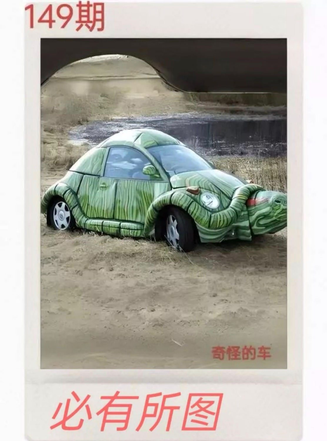 1000050462.jpg